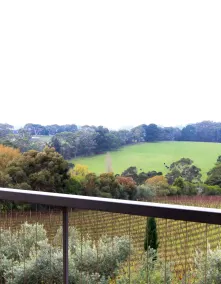 Morning Sun Vineyard - View from property