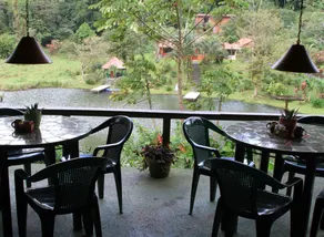 Lucky Bug Bed And Breakfast - Restaurant