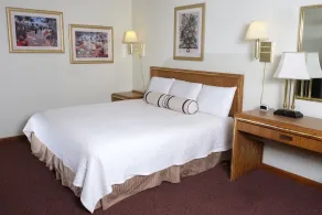 Four Seasons Lodging - Rom