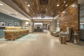 Hampton Inn Greenville/I-385 Haywood Mall - Réception