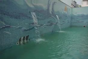 New Gitanjali - Pool