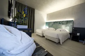 Arli Hotel Business and Wellness - Chambre