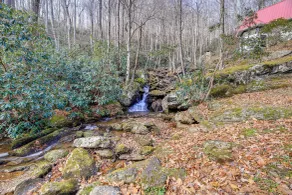 Stay By the Blue Ridge Parkway! Cozy Mtn Condo - Interior