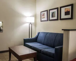 Comfort Suites University - Research Park - Værelse