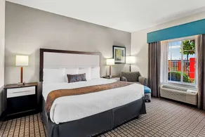 Best Western Plus - Magee Inn & Suites - Chambre