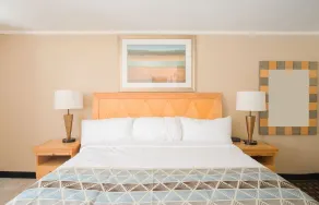 Rodeway Inn - Rom