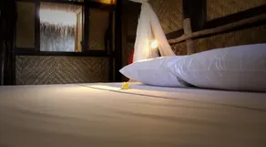 The Calmtree Bungalows - Room