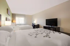Sleep Inn & Suites North Mobile Saraland - Chambre