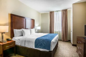 Comfort Suites Fredericksburg South - Chambre