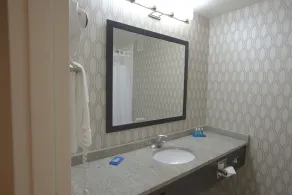 Holiday Inn Express Anderson I-85 - Exit 27- Highway 81 by IHG - Salle de bain