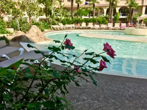 MyHome Riviera Apartments - Cannes Rentals - Piscina