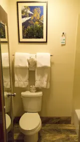 Comfort Inn Flagstaff South I-17 - Salle de bain
