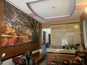 Gia Bao Hotel - Reception