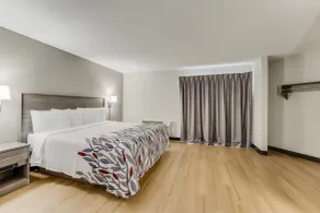 Red Roof Inn & Suites Newport - Middletown, RI - Chambre