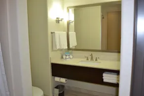 Holiday Inn Express Hotel and Suites Duncan by IHG - Badezimmer