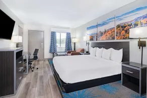 Days Inn by Wyndham Hamilton - Room