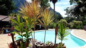 Eco Lodge Village Temanoha - Pool