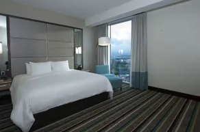 Hilton Garden Inn San Jose La Sabana - Room