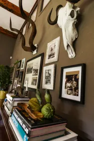 Town and Country Mpumalanga - Rezeption