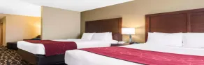Comfort Suites Tampa Airport North - Chambre
