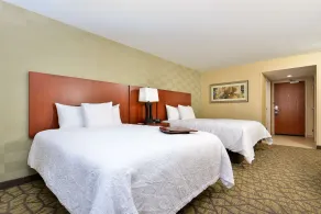 Hampton Inn Detroit/Auburn Hills South - Chambre