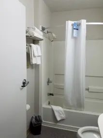 Microtel Inn & Suites by Wyndham London - Salle de bain