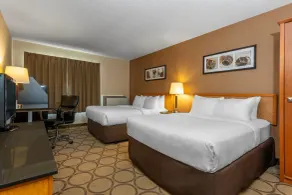 Comfort Inn New Glasgow - Stellarton - Camera