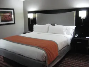 Holiday Inn Express & Suites Nashville Southeast - Antioch by IHG - Chambre