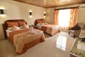 Hotel Los Lagos Spa & Resort - Room