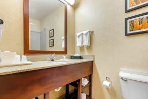 Comfort Inn at Convention Center - Salle de bain