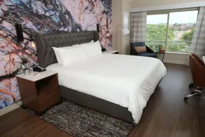 Hotel Indigo Naperville Riverwalk by IHG - Chambre