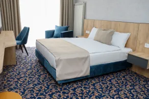 Arion Hotel Baku - Room