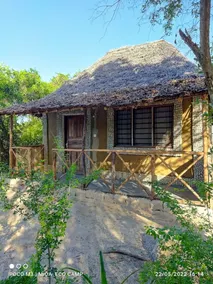 Mida Creek Eco Camp 1 - Overnatningsstedets facade