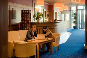 Rochestown Lodge Hotel - Recepción