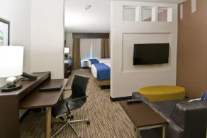 Holiday Inn Austin Airport by IHG - Chambre