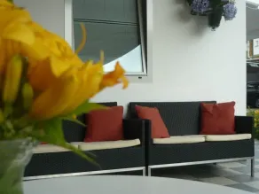 Hotel Lily - Sala de estar do lobby
