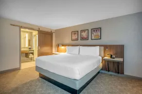 Hilton Garden Inn Boston Logan Airport - Room