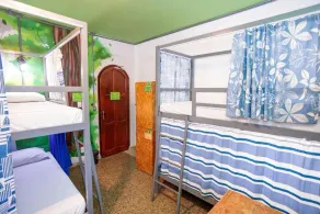 Local Hostel Manaus  - Chambre