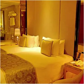 Radisson Blu Jaipur - Room