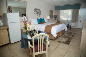The Inn at Deep Canyon - Vue de la chambre