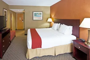 Holiday Inn Express Hotel Clearwater East - ICOT Center by IHG - Zimmer