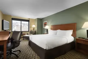 Holiday Inn & Suites Duluth-Downtown by IHG - Chambre