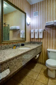 Best Western Plus Ellensburg Hotel - Salle de bain