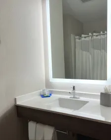 Holiday Inn Express Hotel & Suites Waukegan/Gurnee by IHG - Salle de bain