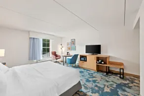 Hampton Inn & Suites Williamsburg-Central - Værelse