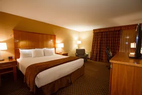 Mirabeau Park Hotel - Room