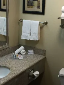 Comfort Suites Near Gettysburg Battlefield Visitor Center - Salle de bain