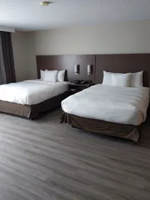 Country Inn & Suites by Radisson, Buffalo, MN - Room