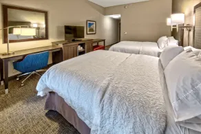 Hampton Inn & Suites Franklin Berry Farms - Chambre