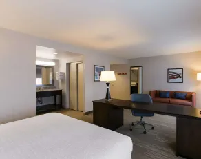 Hampton Inn & Suites Wilmington Christiana - Chambre